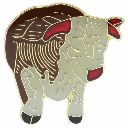 Hereford red white - hereford, 1